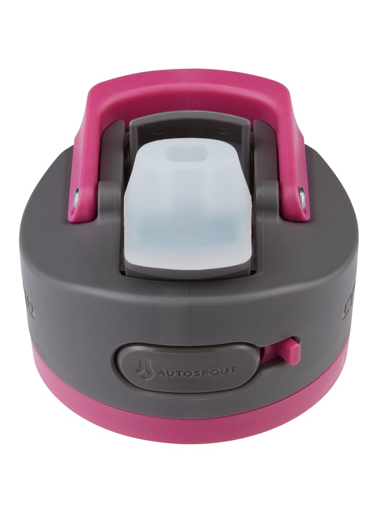 reusable auto spout water bottle lid